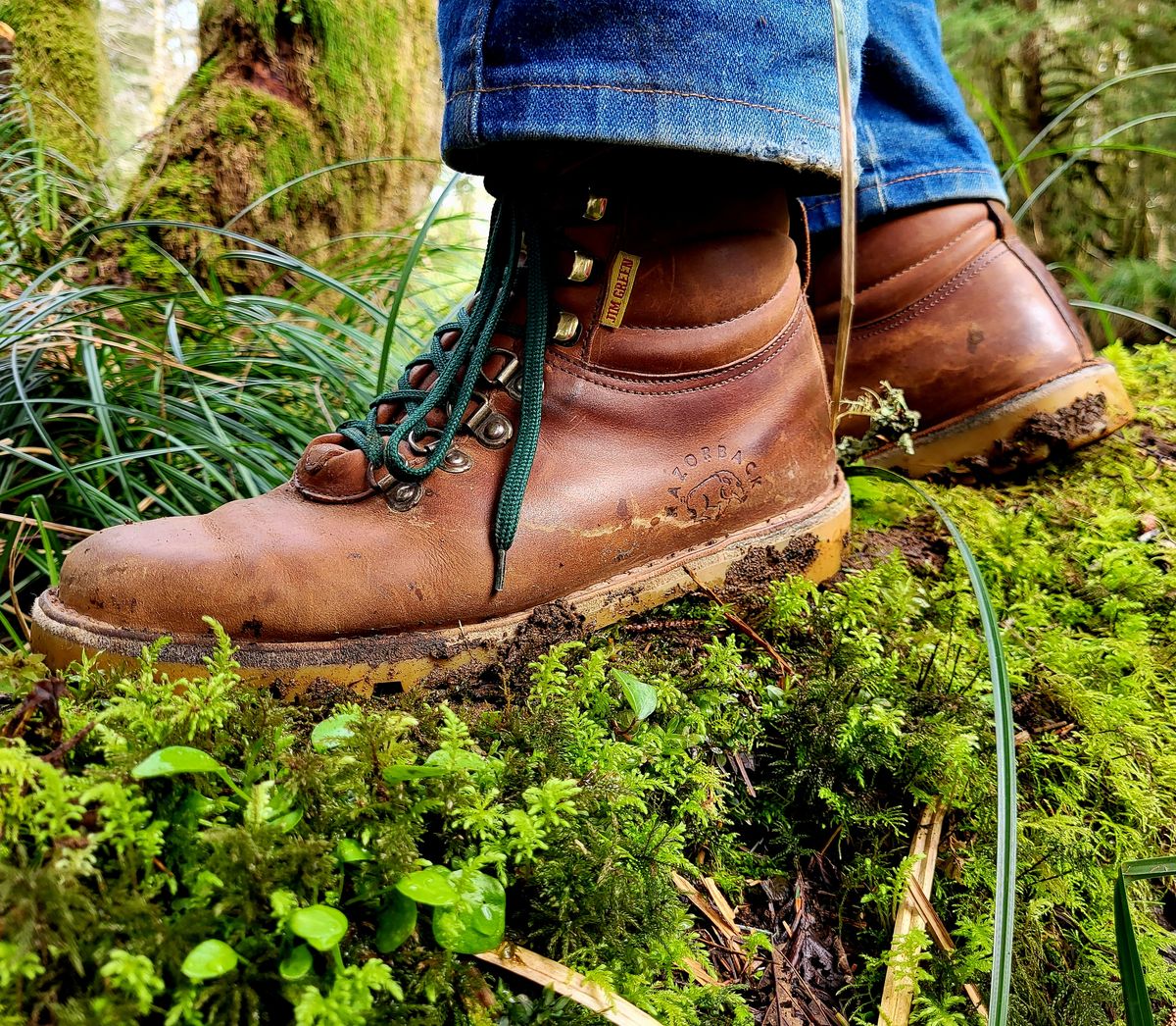 Photo by Max on March 16, 2026 of the Jim Green Razorback in Fudge Crazy Horse.