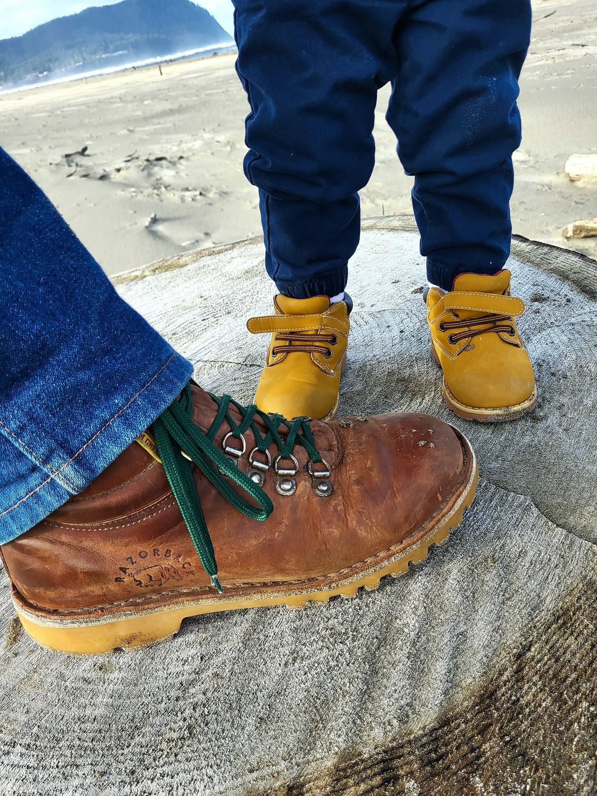 Photo by Max on March 21, 2026 of the Jim Green Razorback in Fudge Crazy Horse.