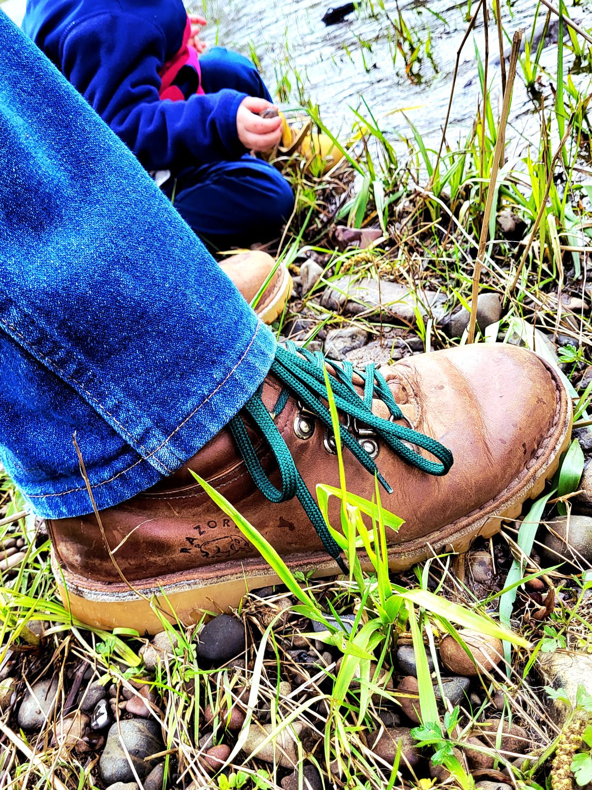 Photo by Max on March 28, 2026 of the Jim Green Razorback in Fudge Crazy Horse.