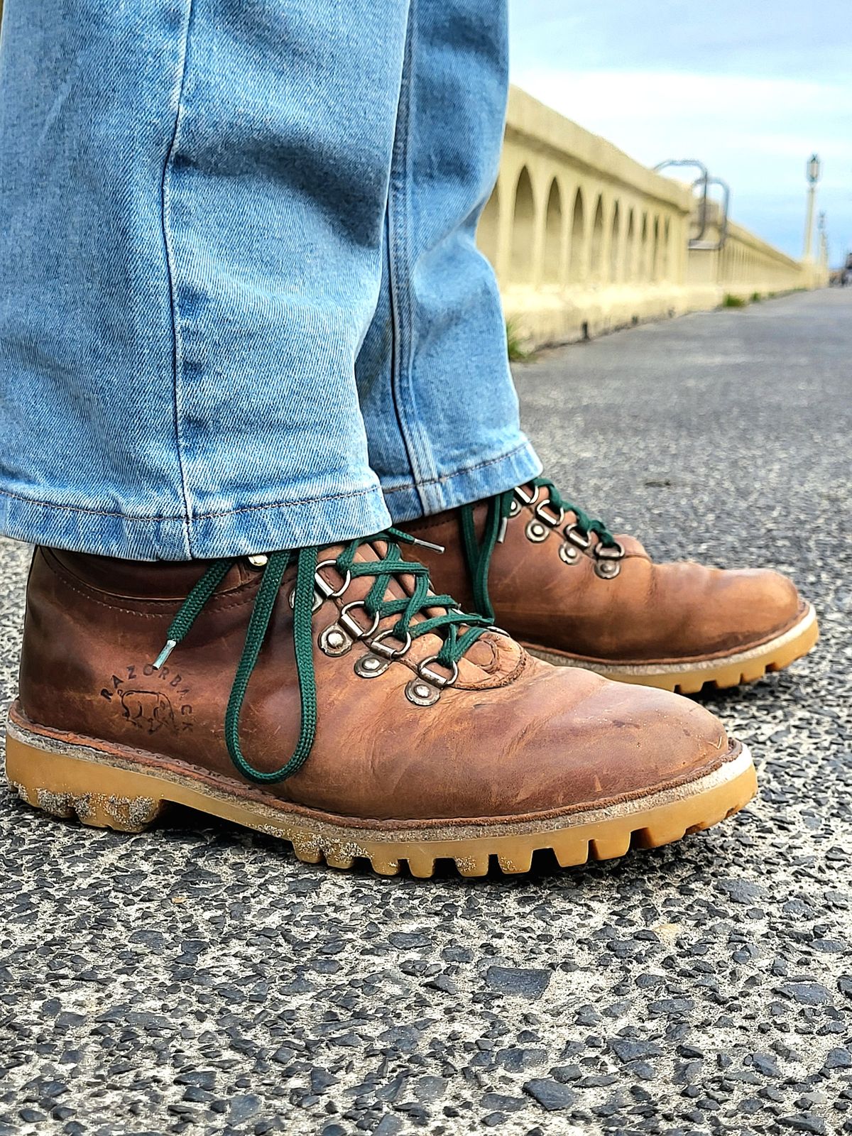 Photo by Max on April 3, 2026 of the Jim Green Razorback in Fudge Crazy Horse.