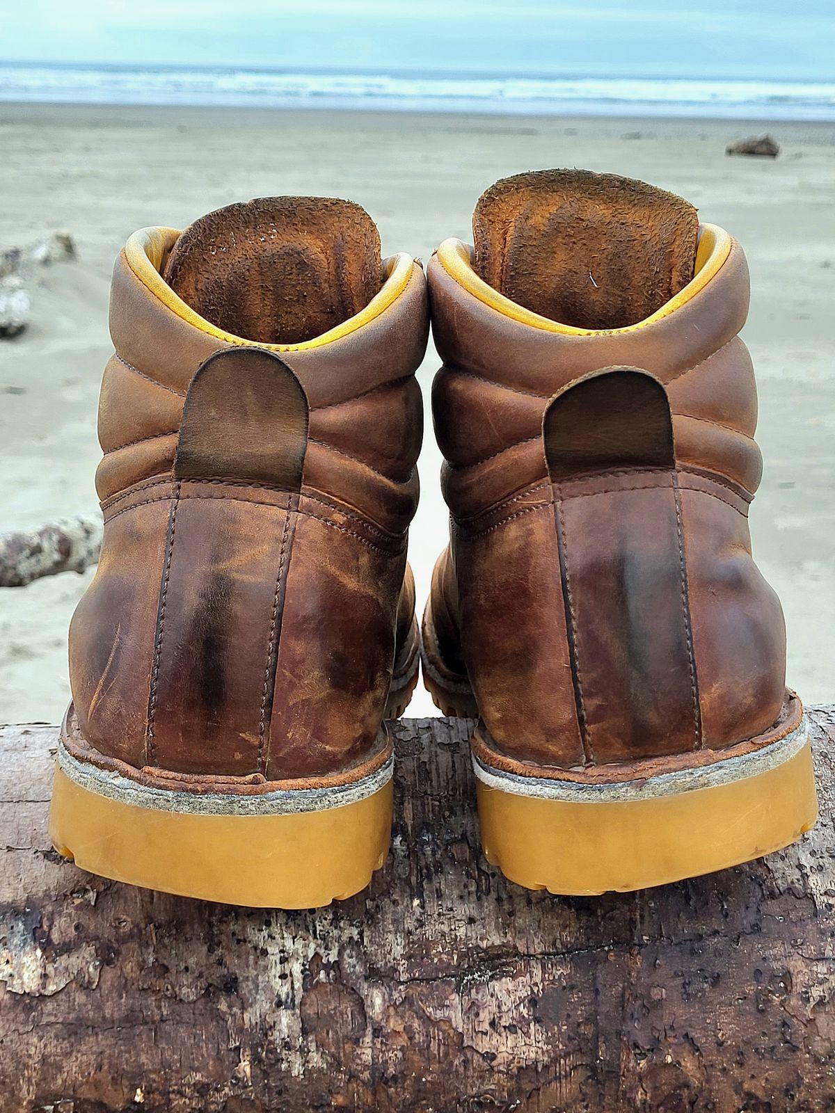 Photo by Max on April 3, 2026 of the Jim Green Razorback in Fudge Crazy Horse.