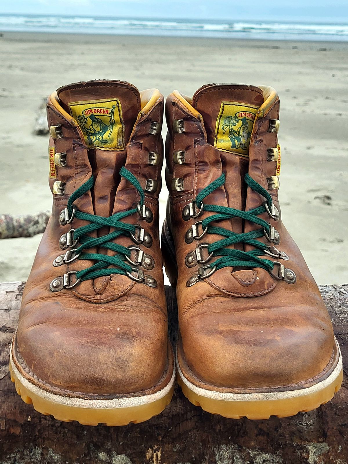 Photo by Max on April 3, 2026 of the Jim Green Razorback in Fudge Crazy Horse.