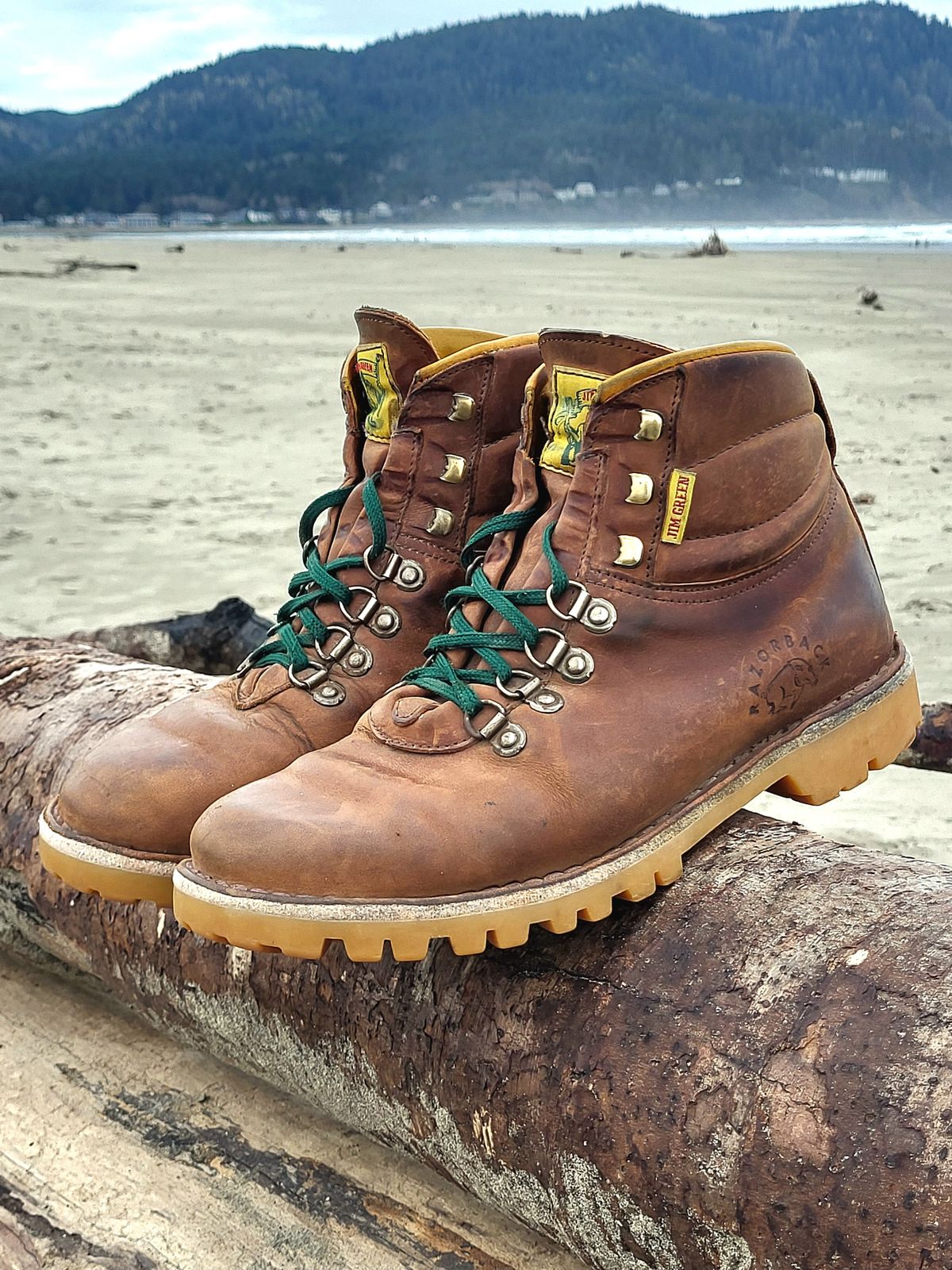 Photo by Max on April 3, 2026 of the Jim Green Razorback in Fudge Crazy Horse.