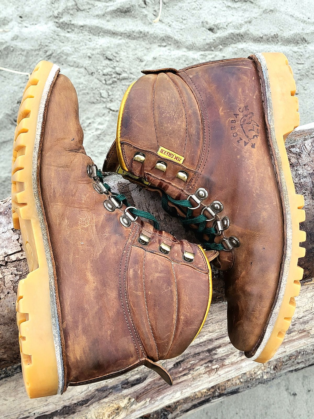 Photo by Max on April 3, 2026 of the Jim Green Razorback in Fudge Crazy Horse.