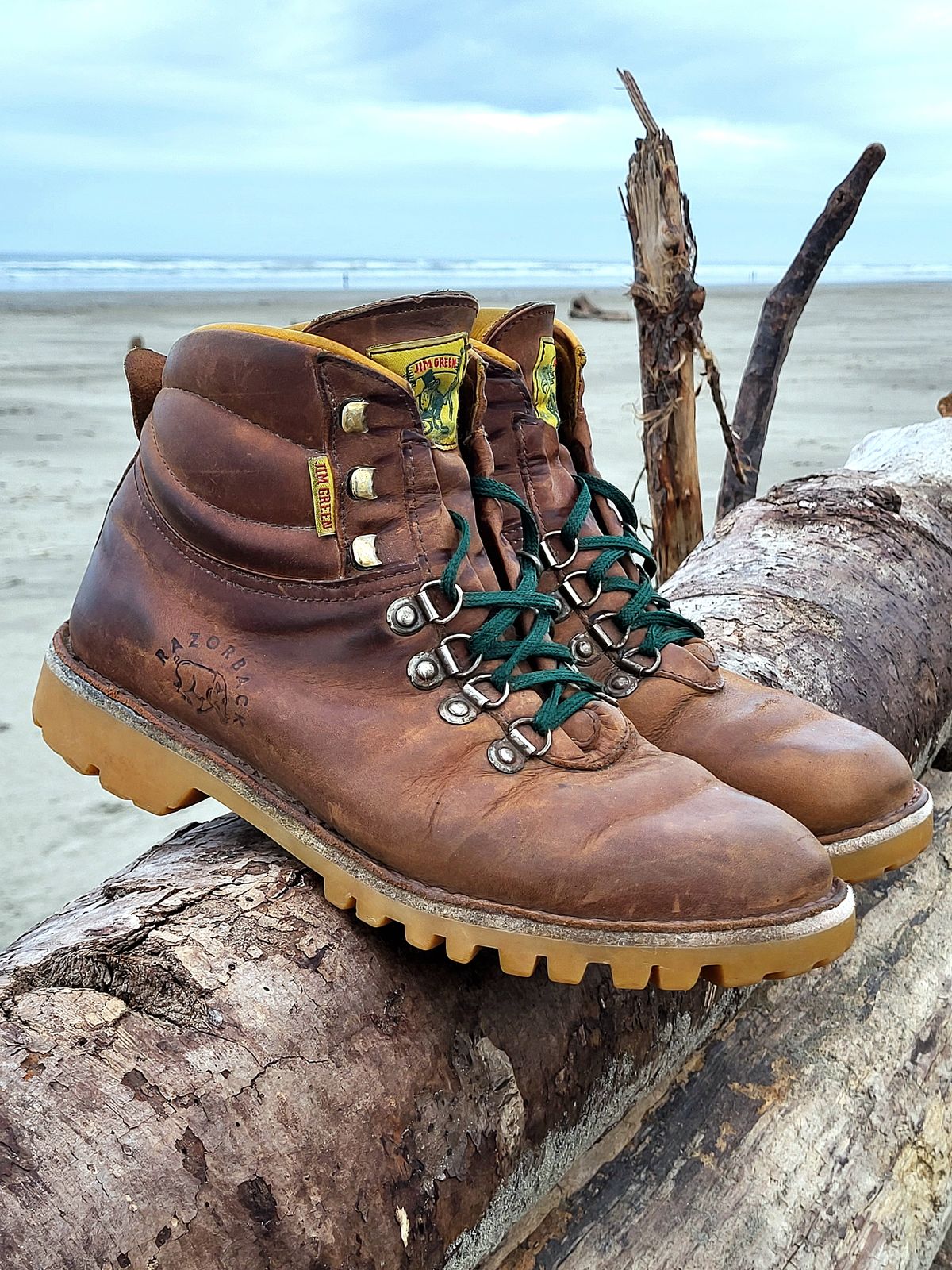 Photo by Max on April 3, 2026 of the Jim Green Razorback in Fudge Crazy Horse.