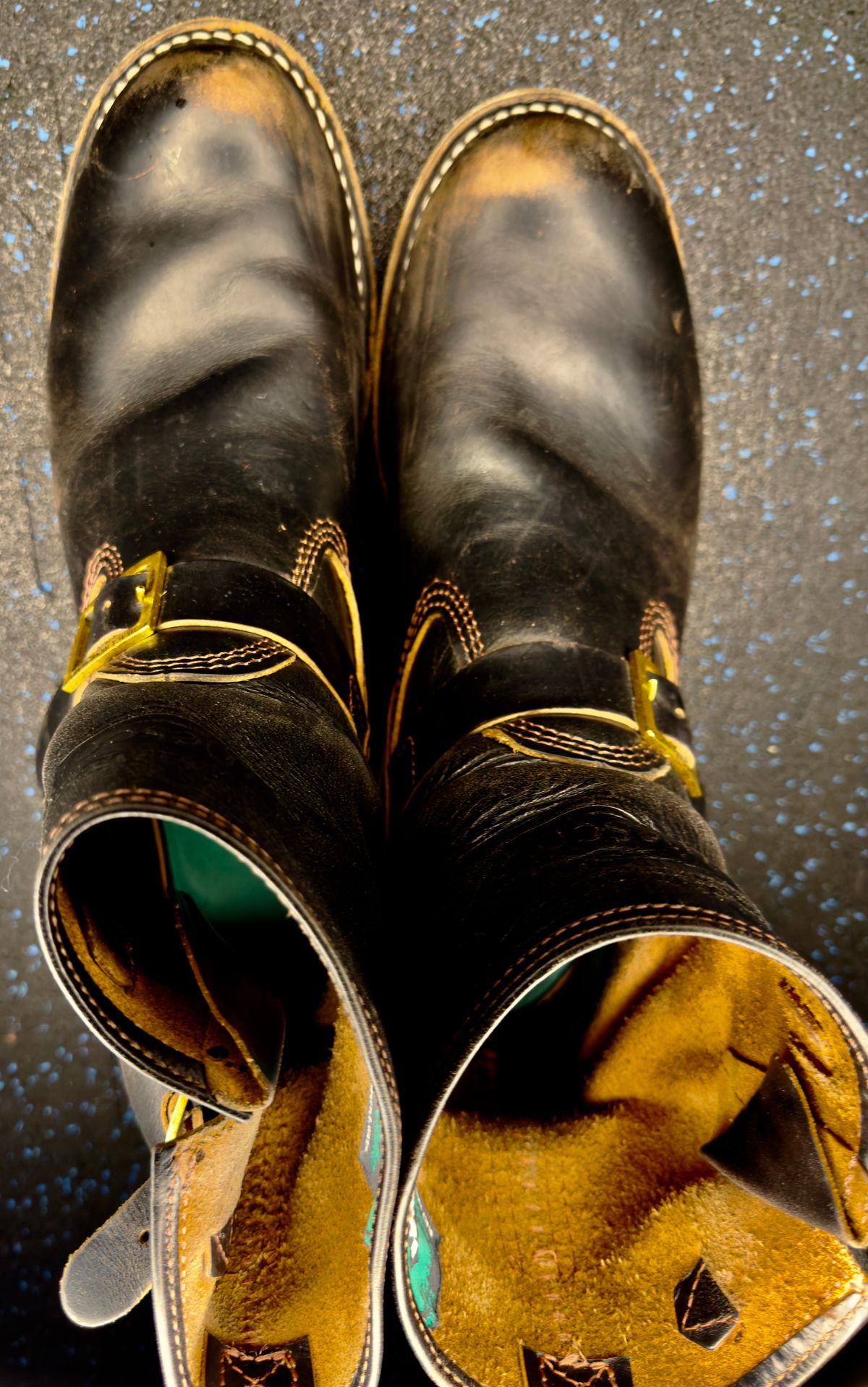 Photo by rmgman on January 6, 2026 of the Wesco Boss Engineer Collaboration With Black Bear Brand in Horween Black Chromexcel.