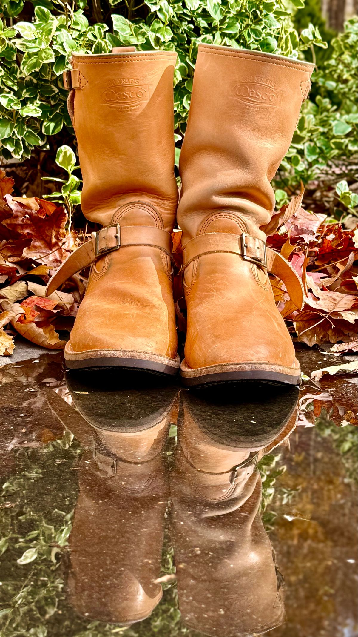 Photo by rmgman on November 4, 2025 of the Wesco x S&S Van Cleef III in Horween Natural Essex.