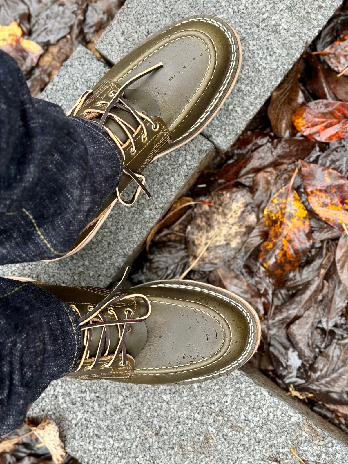 Photo by rmgman on October 1, 2024 of the Nicks Moc Toe in Shackleton Greener Pastures.