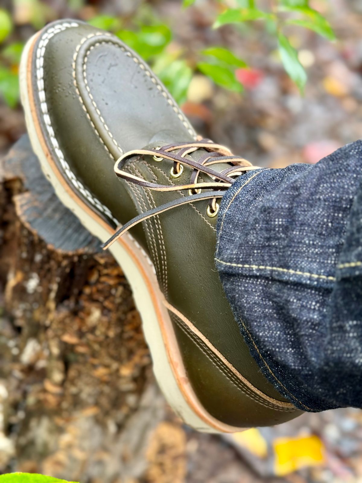 Photo by rmgman on October 1, 2024 of the Nicks Moc Toe in Shackleton Greener Pastures.