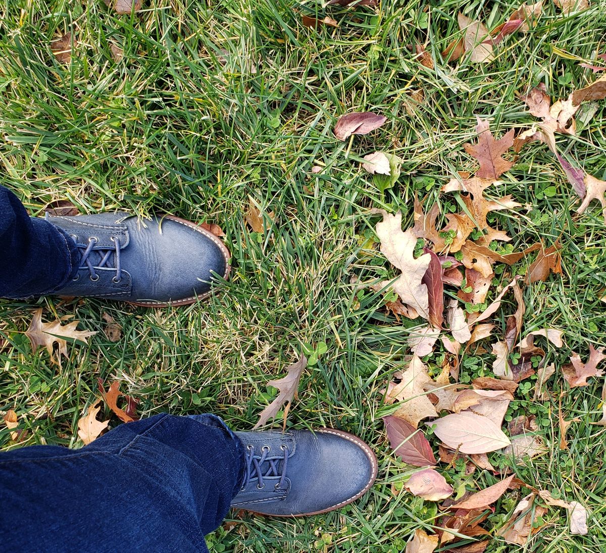 Photo by bootsforlife on November 16, 2025 of the Wolverine 1000 Mile Plain-Toe Boot in Horween Navy Olive Tan.