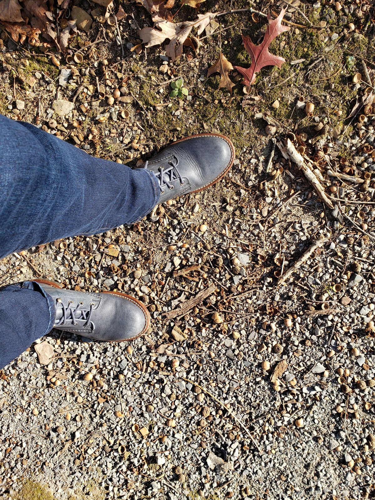 Photo by bootsforlife on November 16, 2025 of the Wolverine 1000 Mile Plain-Toe Boot in Horween Navy Olive Tan.
