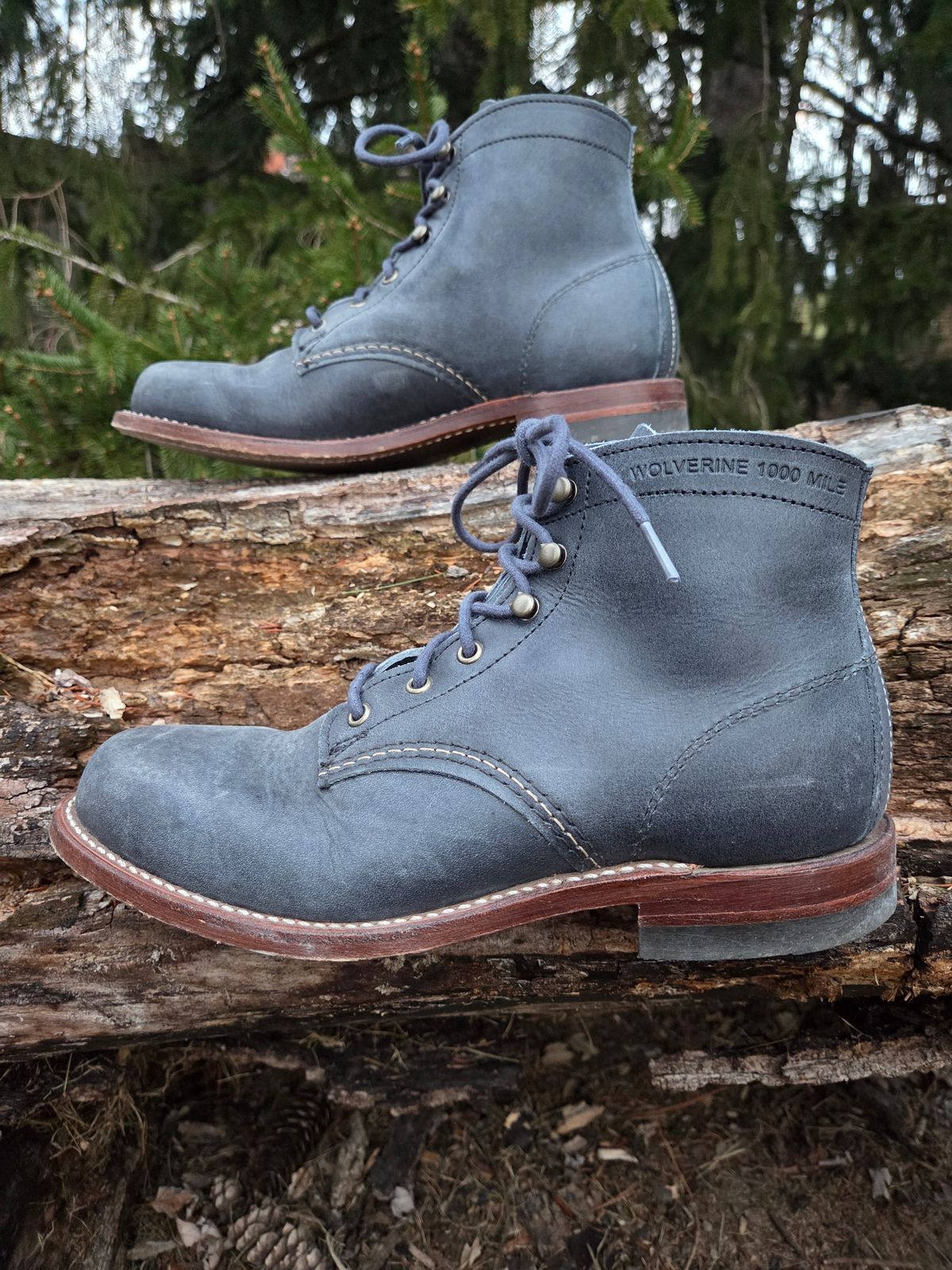 Photo by bootsforlife on March 5, 2026 of the Wolverine 1000 Mile Plain-Toe Boot in Horween Navy Olive Tan.
