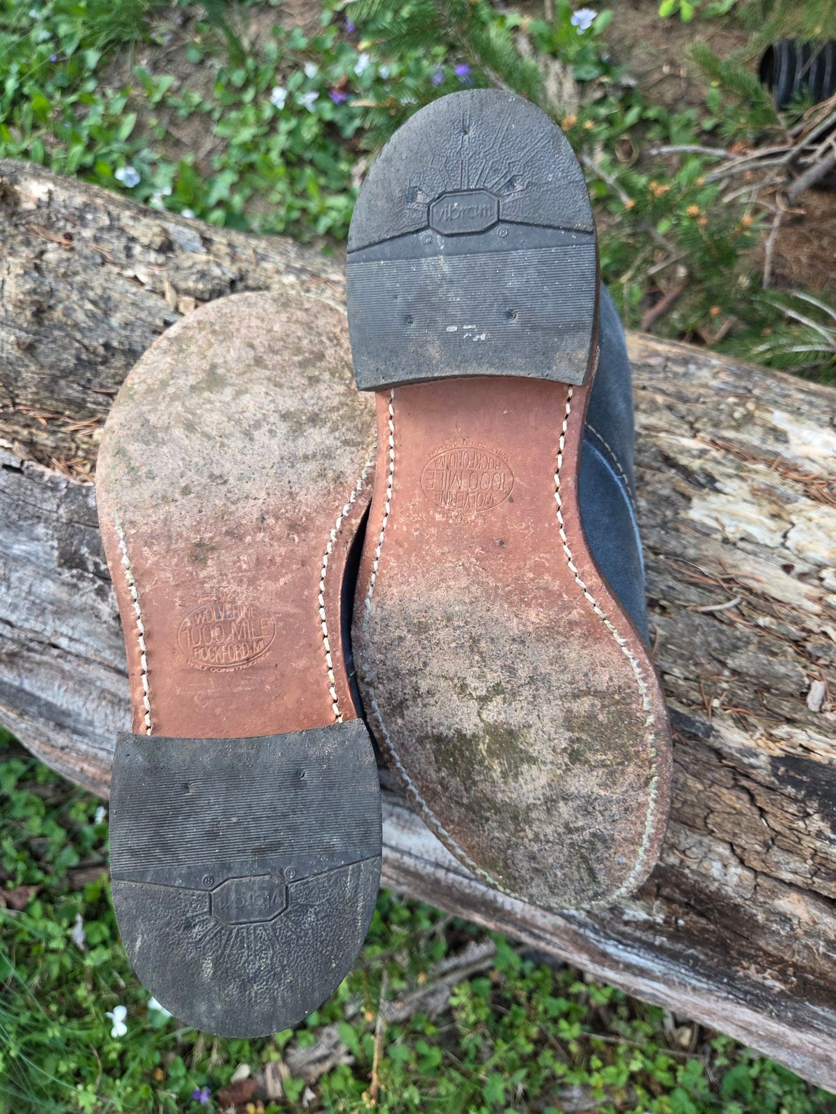 Photo by bootsforlife on April 4, 2026 of the Wolverine 1000 Mile Plain-Toe Boot in Horween Navy Olive Tan.