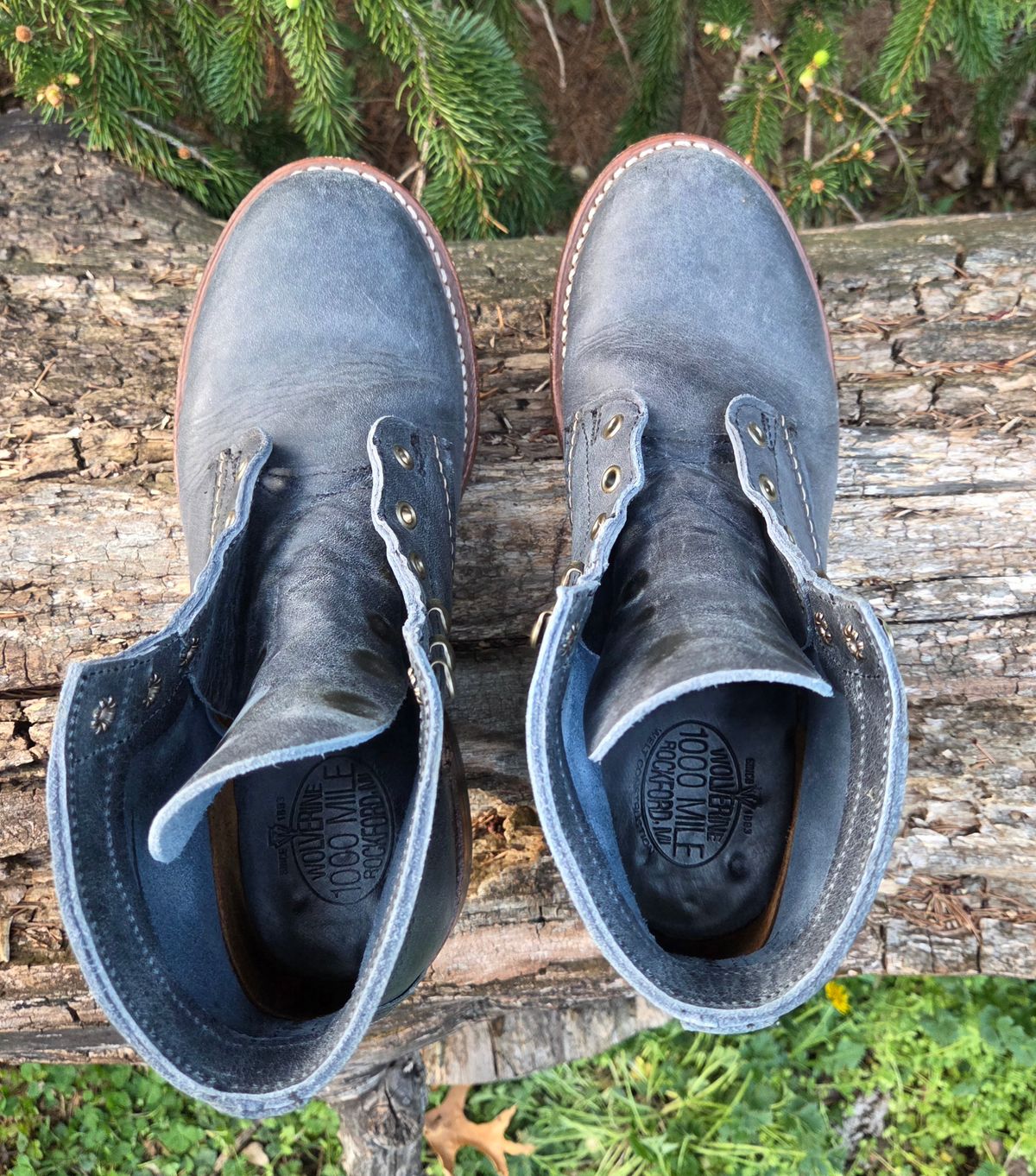 Photo by bootsforlife on April 4, 2026 of the Wolverine 1000 Mile Plain-Toe Boot in Horween Navy Olive Tan.