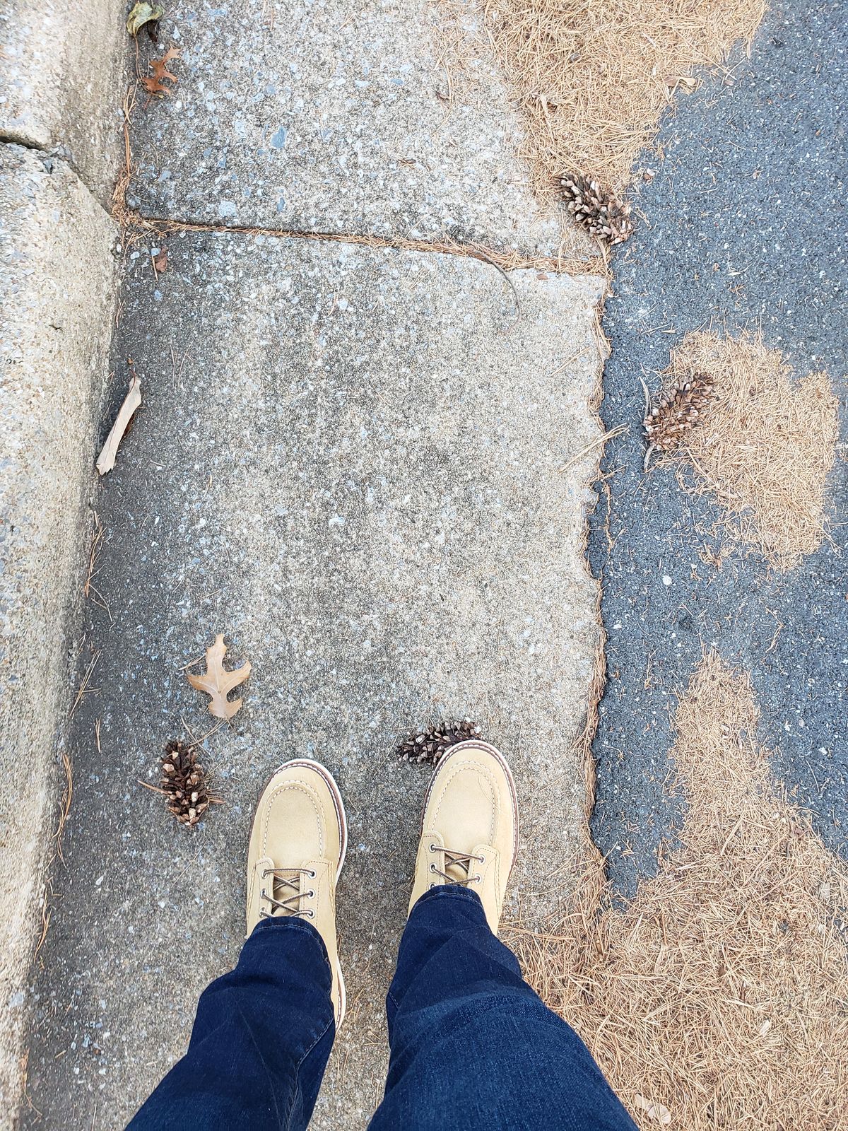 Photo by bootsforlife on November 1, 2025 of the Red Wing 6-Inch Classic Moc in S.B. Foot Hawthorne Abilene.