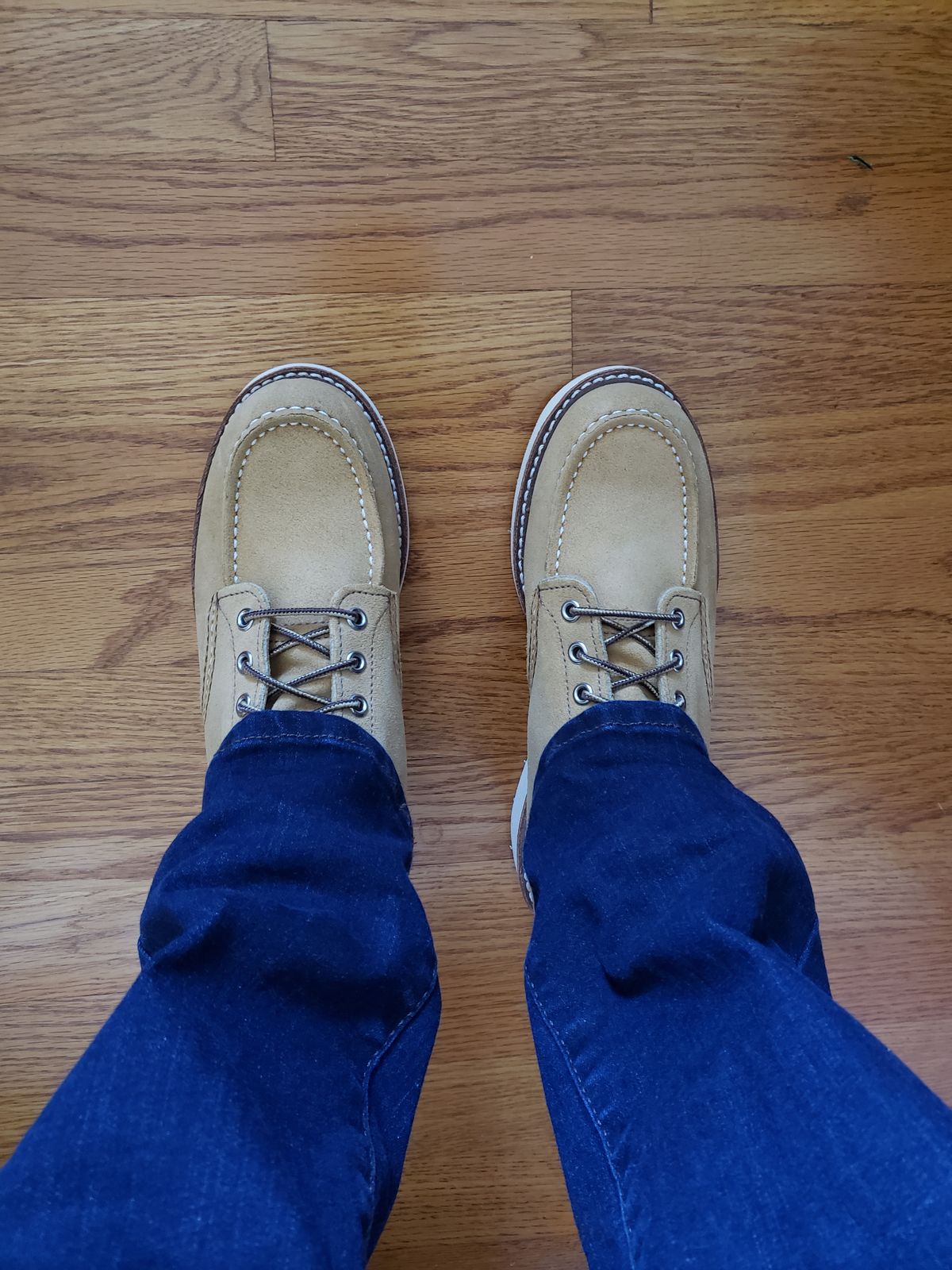 Photo by bootsforlife on November 1, 2025 of the Red Wing 6-Inch Classic Moc in S.B. Foot Hawthorne Abilene.
