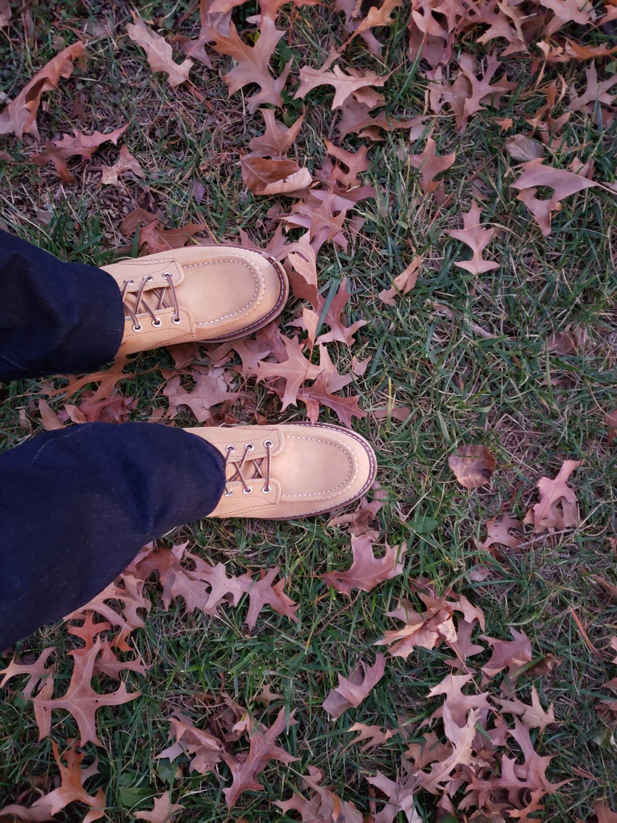 Photo by bootsforlife on November 26, 2025 of the Red Wing 6-Inch Classic Moc in S.B. Foot Hawthorne Abilene.