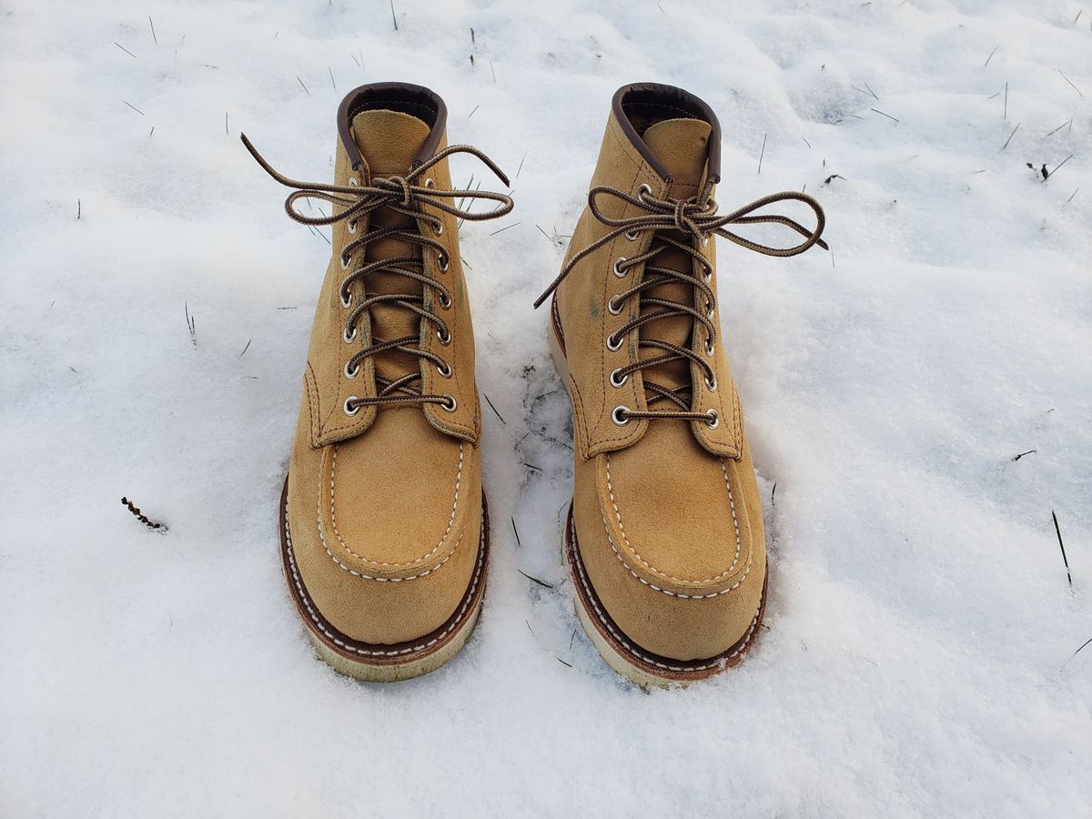 Photo by bootsforlife on December 6, 2025 of the Red Wing 6-Inch Classic Moc in S.B. Foot Hawthorne Abilene.