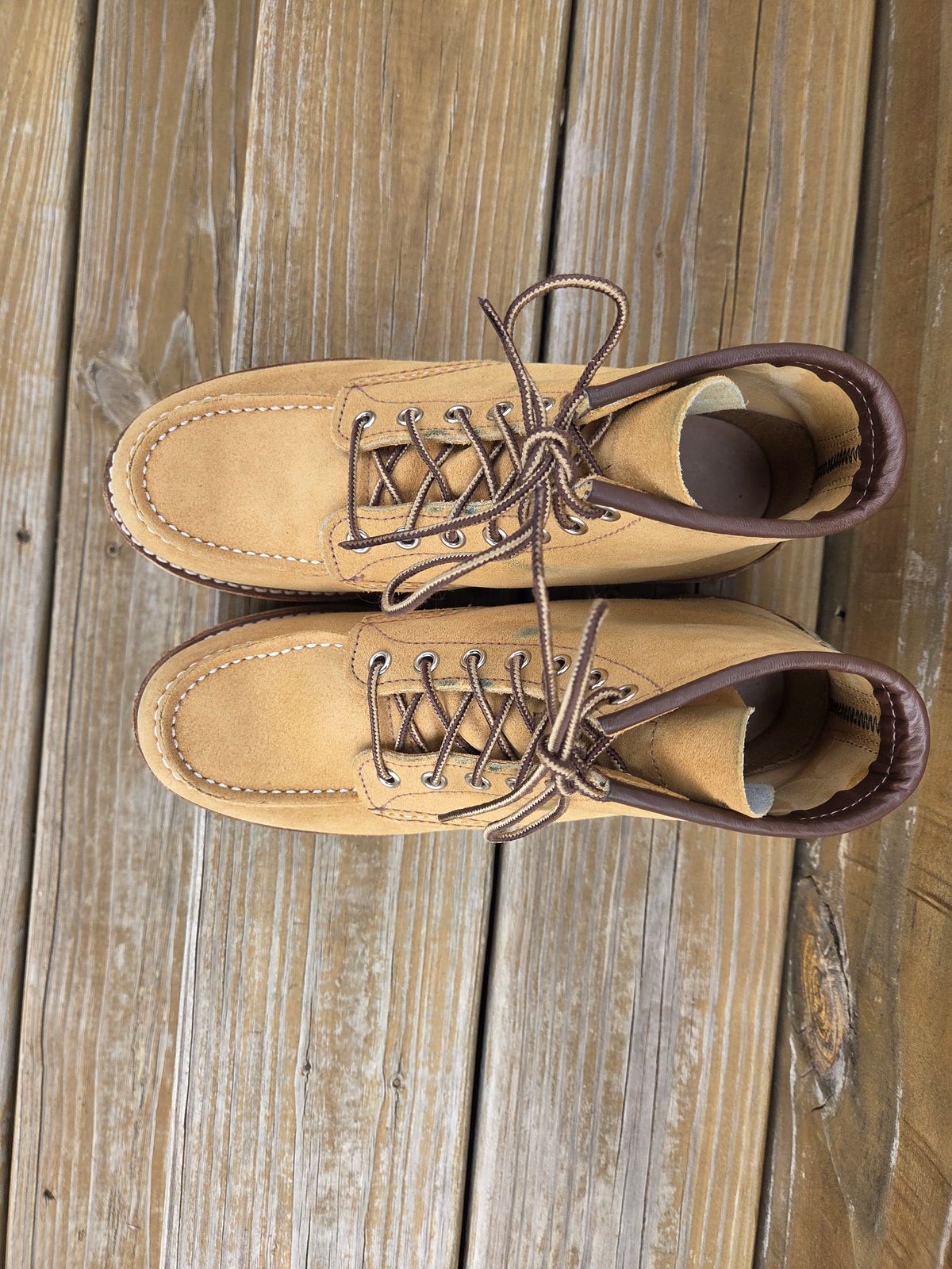 Photo by bootsforlife on January 5, 2026 of the Red Wing 6-Inch Classic Moc in S.B. Foot Hawthorne Abilene.