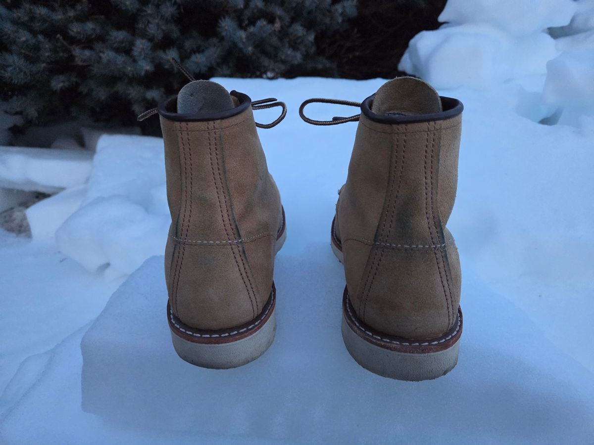 Photo by bootsforlife on February 5, 2026 of the Red Wing 6-Inch Classic Moc in S.B. Foot Hawthorne Abilene.