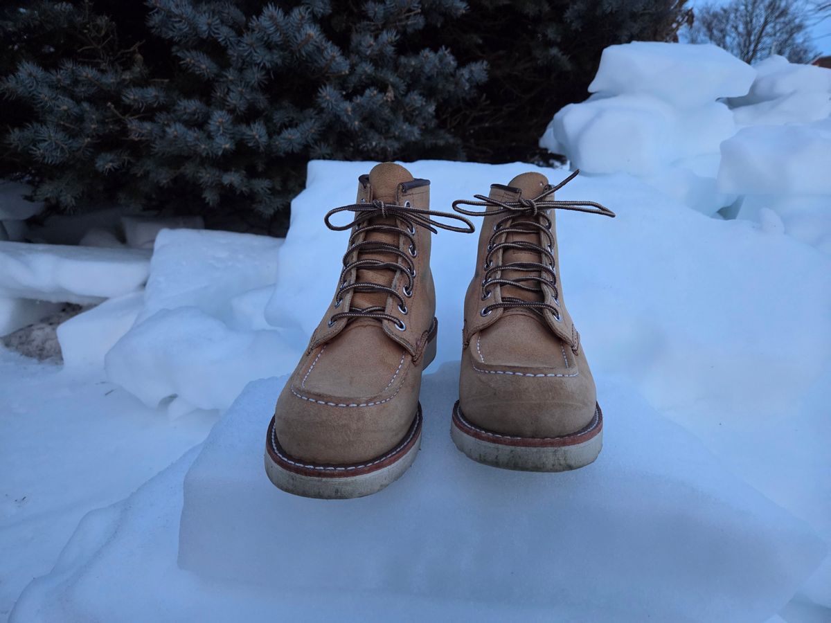 Photo by bootsforlife on February 5, 2026 of the Red Wing 6-Inch Classic Moc in S.B. Foot Hawthorne Abilene.