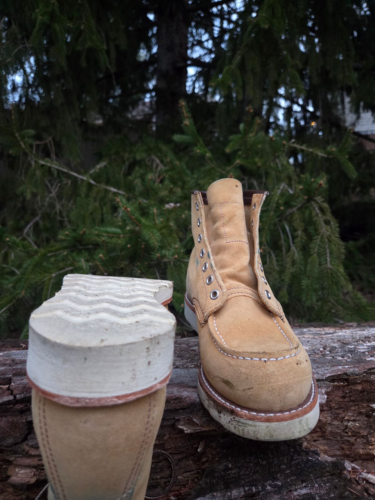 Photo by bootsforlife on March 5, 2026 of the Red Wing 6-Inch Classic Moc in S.B. Foot Hawthorne Abilene.