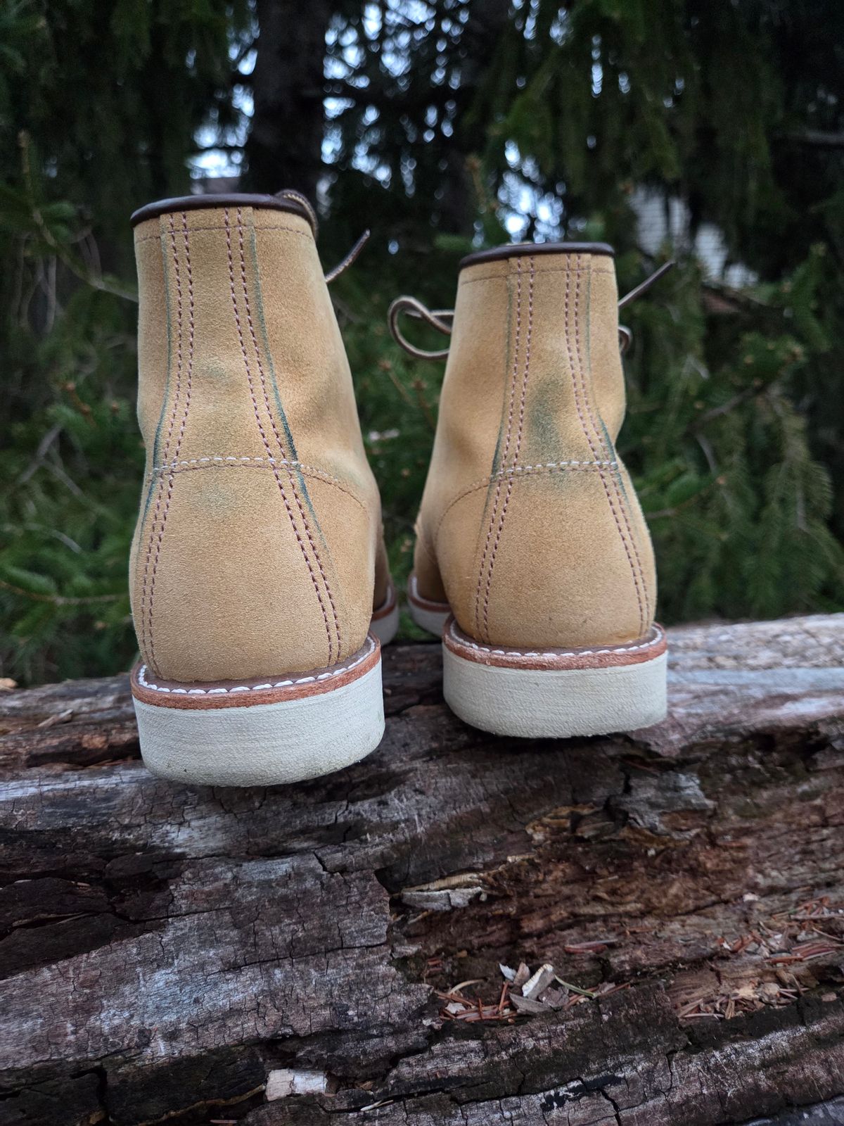 Photo by bootsforlife on March 5, 2026 of the Red Wing 6-Inch Classic Moc in S.B. Foot Hawthorne Abilene.