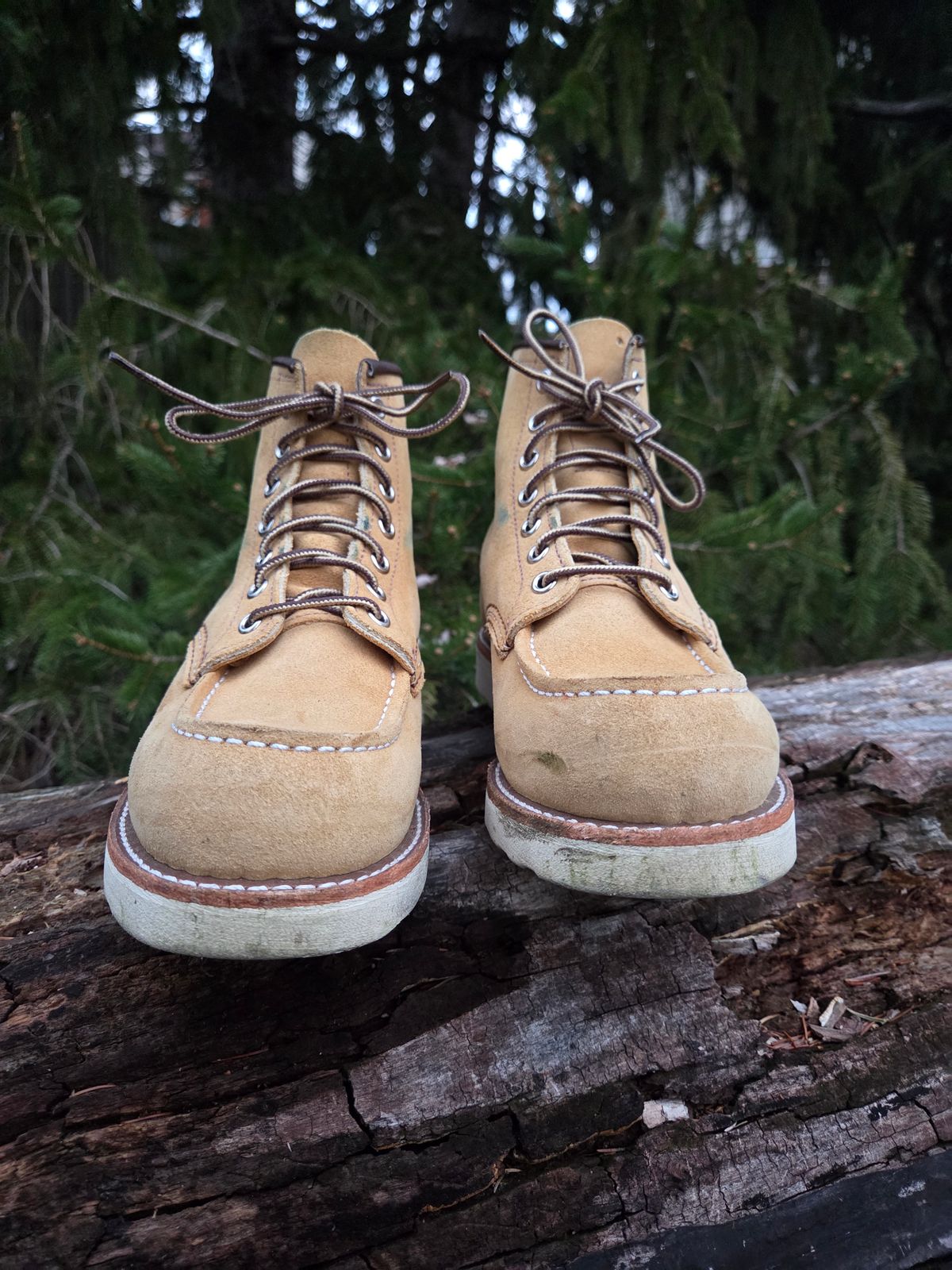 Photo by bootsforlife on March 5, 2026 of the Red Wing 6-Inch Classic Moc in S.B. Foot Hawthorne Abilene.