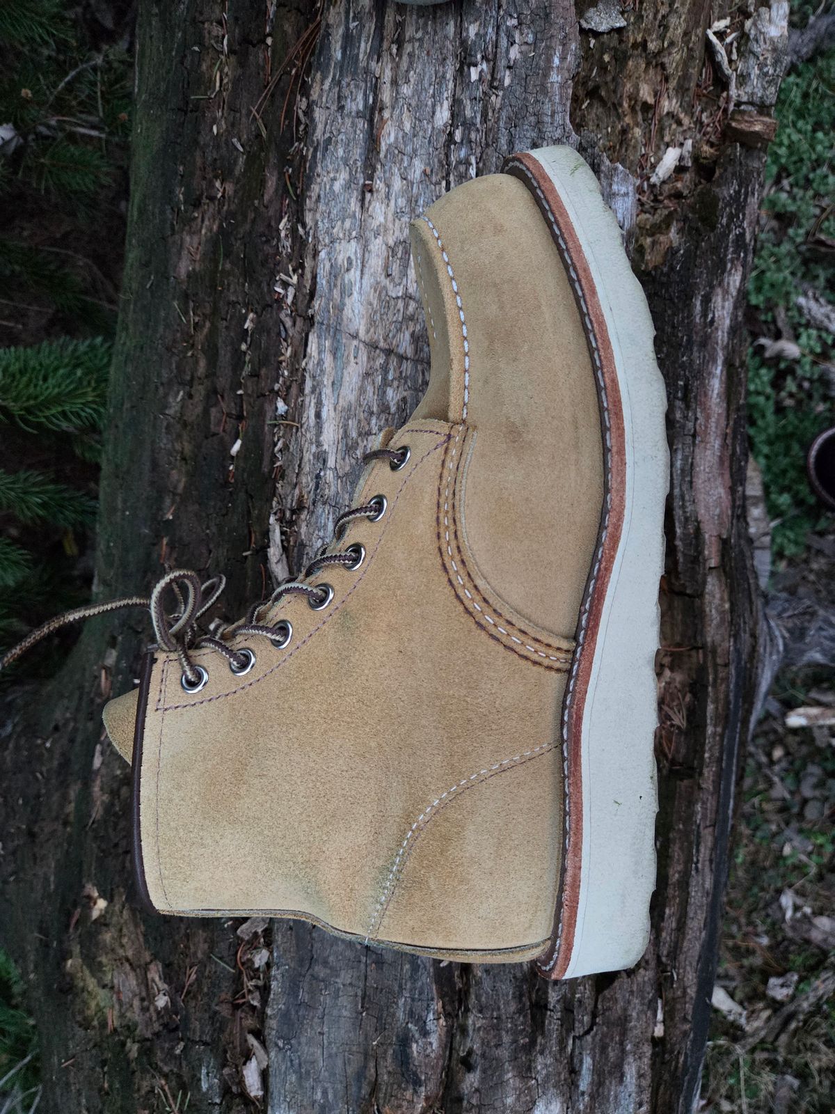 Photo by bootsforlife on March 5, 2026 of the Red Wing 6-Inch Classic Moc in S.B. Foot Hawthorne Abilene.