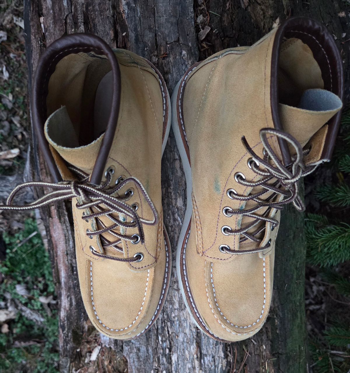 Photo by bootsforlife on March 5, 2026 of the Red Wing 6-Inch Classic Moc in S.B. Foot Hawthorne Abilene.