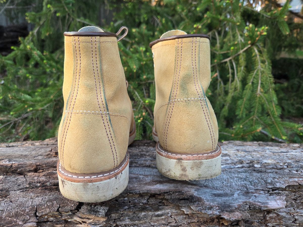Photo by bootsforlife on April 4, 2026 of the Red Wing 6-Inch Classic Moc in S.B. Foot Hawthorne Abilene.