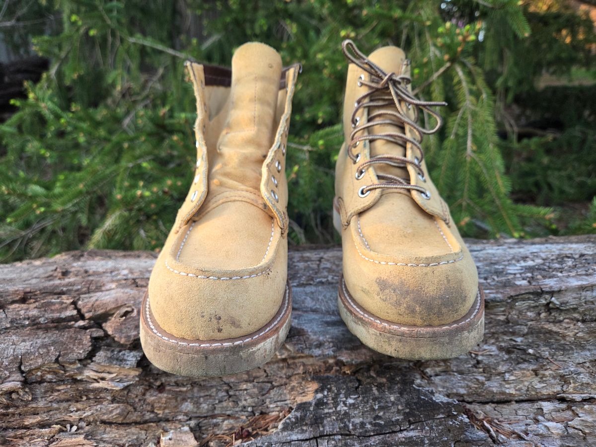 Photo by bootsforlife on April 4, 2026 of the Red Wing 6-Inch Classic Moc in S.B. Foot Hawthorne Abilene.