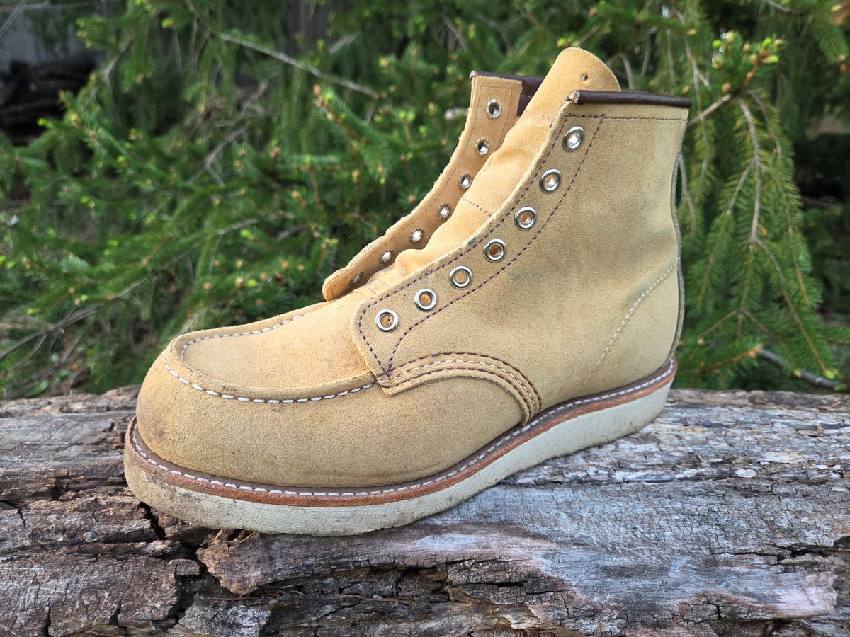 Photo by bootsforlife on April 4, 2026 of the Red Wing 6-Inch Classic Moc in S.B. Foot Hawthorne Abilene.
