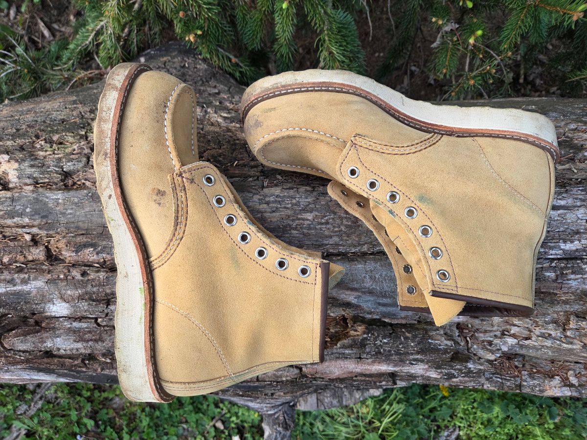 Photo by bootsforlife on April 4, 2026 of the Red Wing 6-Inch Classic Moc in S.B. Foot Hawthorne Abilene.