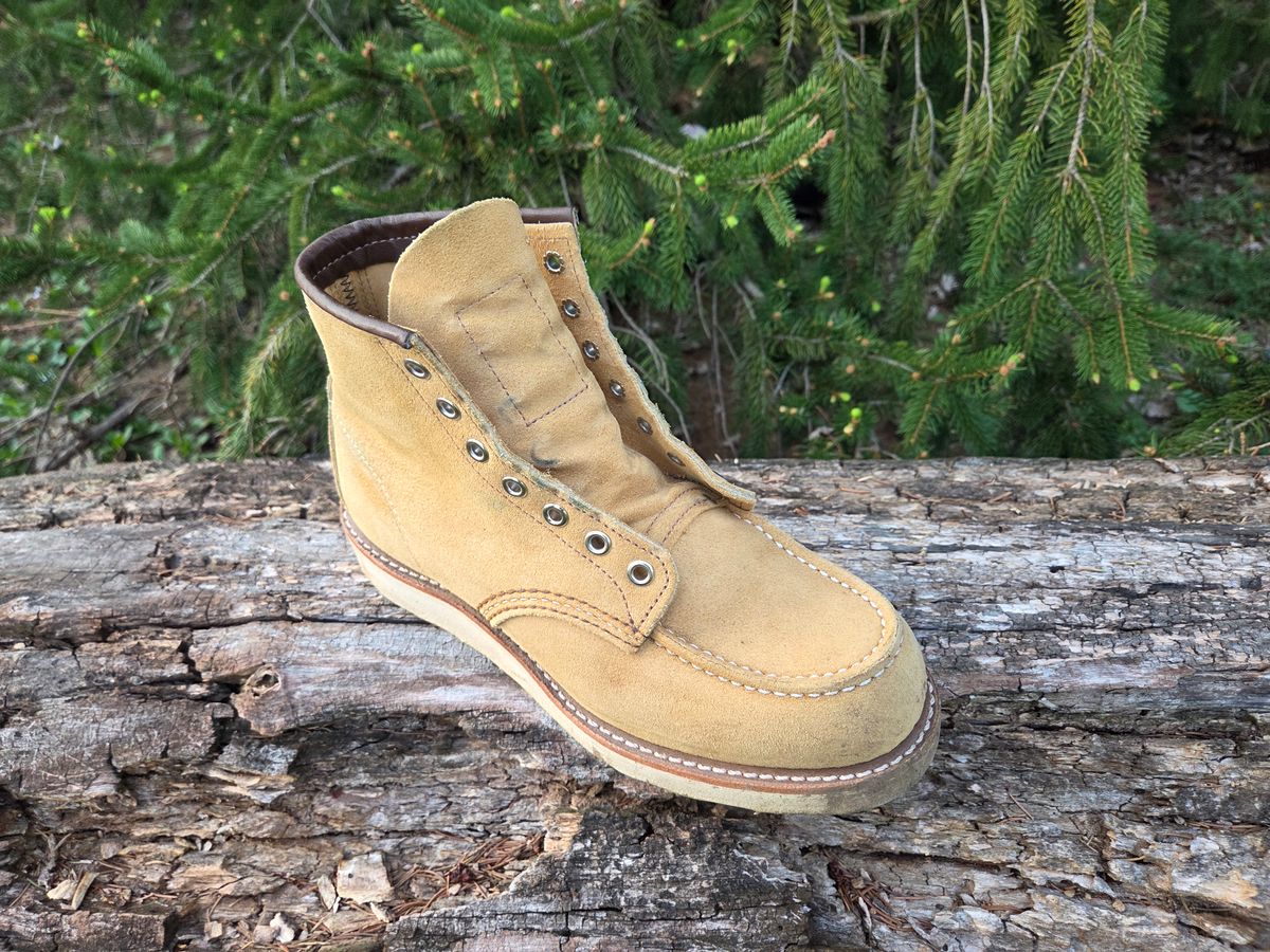 Photo by bootsforlife on April 4, 2026 of the Red Wing 6-Inch Classic Moc in S.B. Foot Hawthorne Abilene.