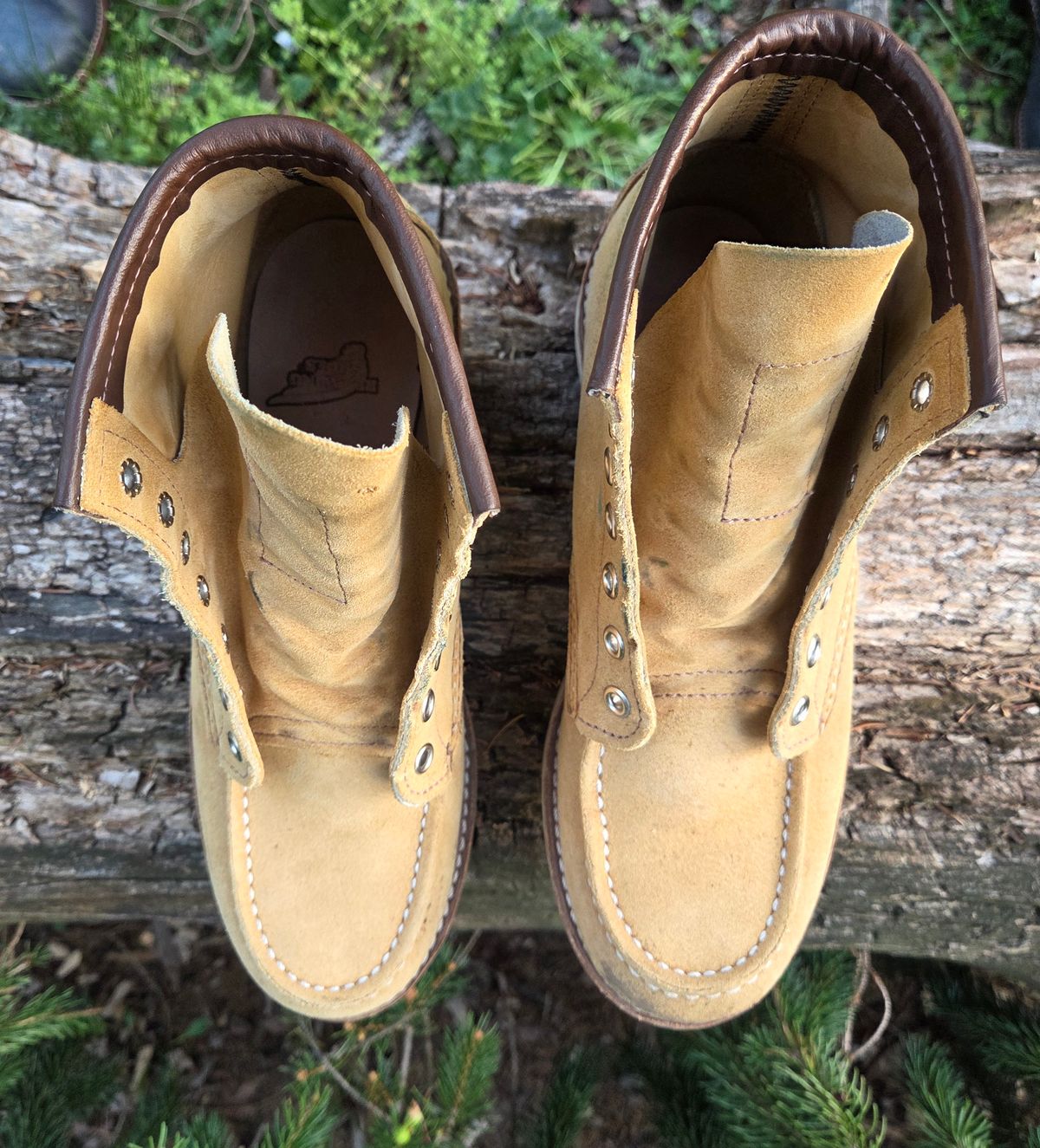 Photo by bootsforlife on April 4, 2026 of the Red Wing 6-Inch Classic Moc in S.B. Foot Hawthorne Abilene.