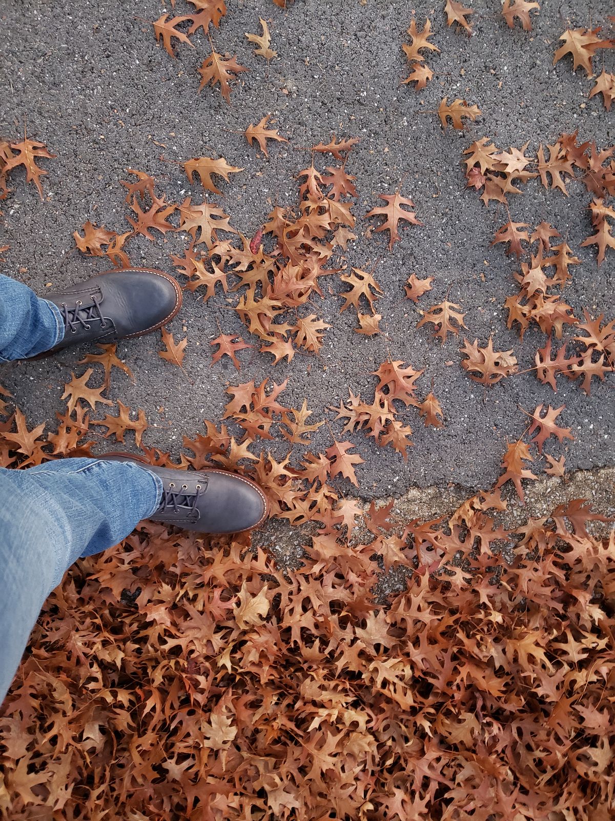 Photo by bootsforlife on November 6, 2024 of the Wolverine 1000 Mile Plain-Toe Boot in Horween Olive Tanned.