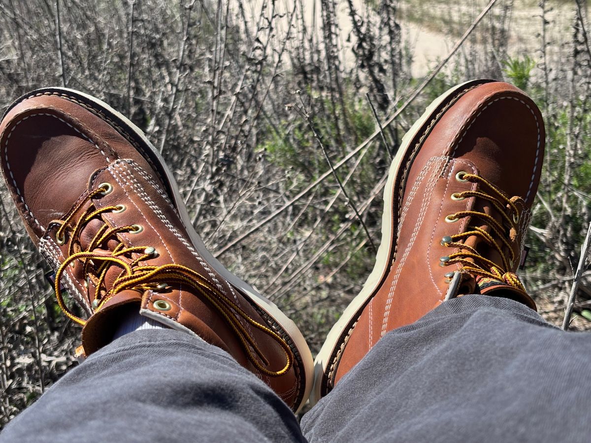Photo by GodsRedeemed on March 9, 2025 of the Thorogood American Heritage 6" Moc Toe in Tobacco Gladiator Oil-Tanned.