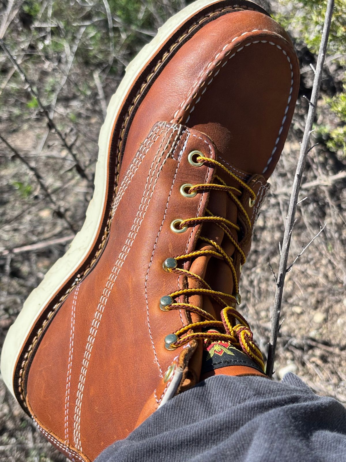 Photo by GodsRedeemed on March 9, 2025 of the Thorogood American Heritage 6" Moc Toe in Tobacco Gladiator Oil-Tanned.