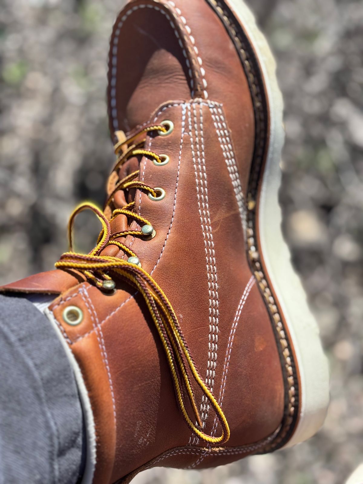 Photo by GodsRedeemed on March 9, 2025 of the Thorogood American Heritage 6" Moc Toe in Tobacco Gladiator Oil-Tanned.