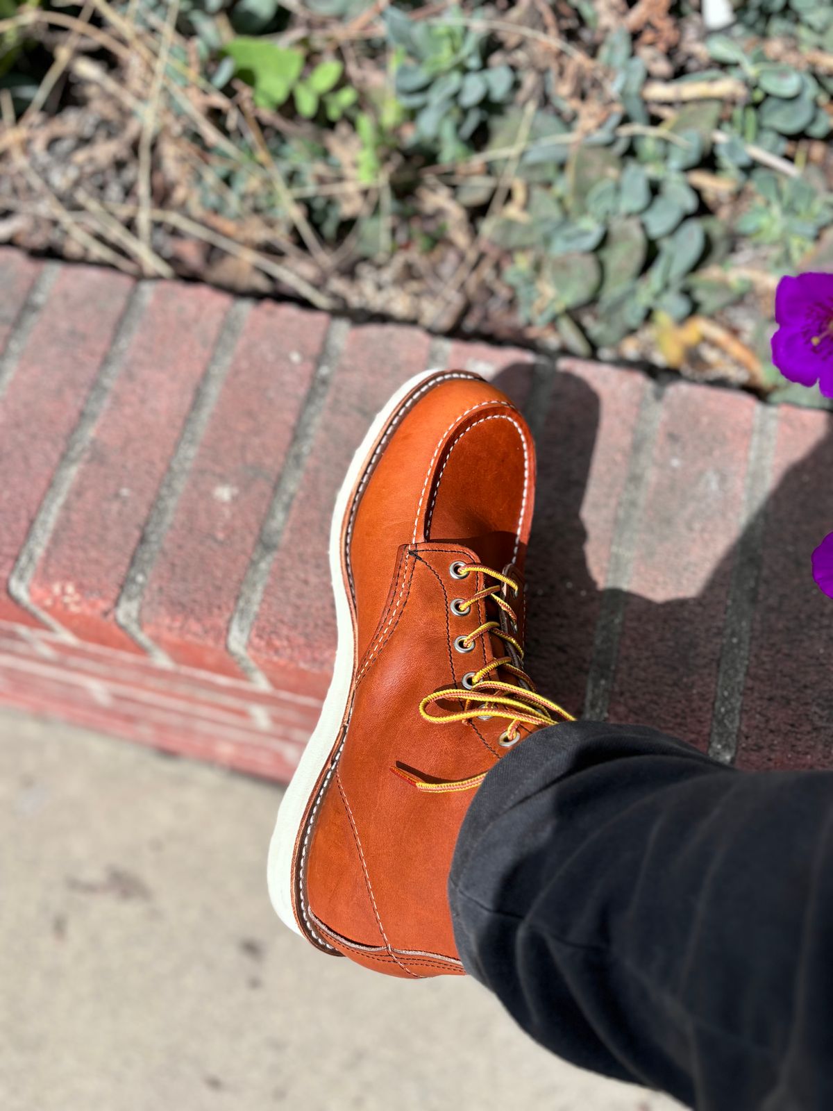 Photo by GodsRedeemed on October 11, 2024 of the Red Wing 6-Inch Classic Moc in S.B. Foot Oro Legacy.