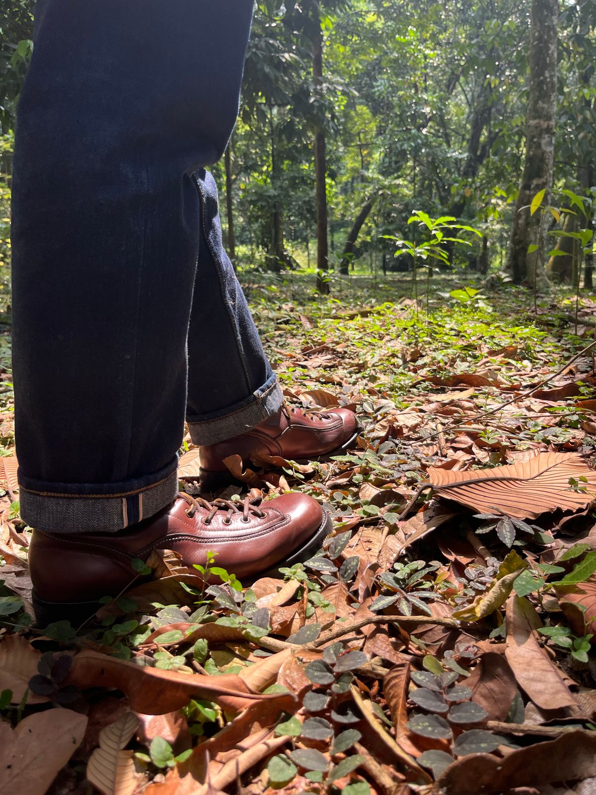 Photo by ArySaputra on May 10, 2025 of the Briselblack Custom Model in Indonesian Burgundy Pull Up.