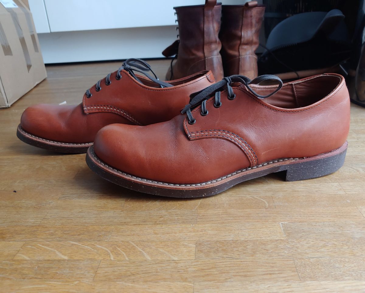 Photo by brunizam on February 28, 2023 of the Red Wing Work Oxford in S.B. Foot Brick Settler.