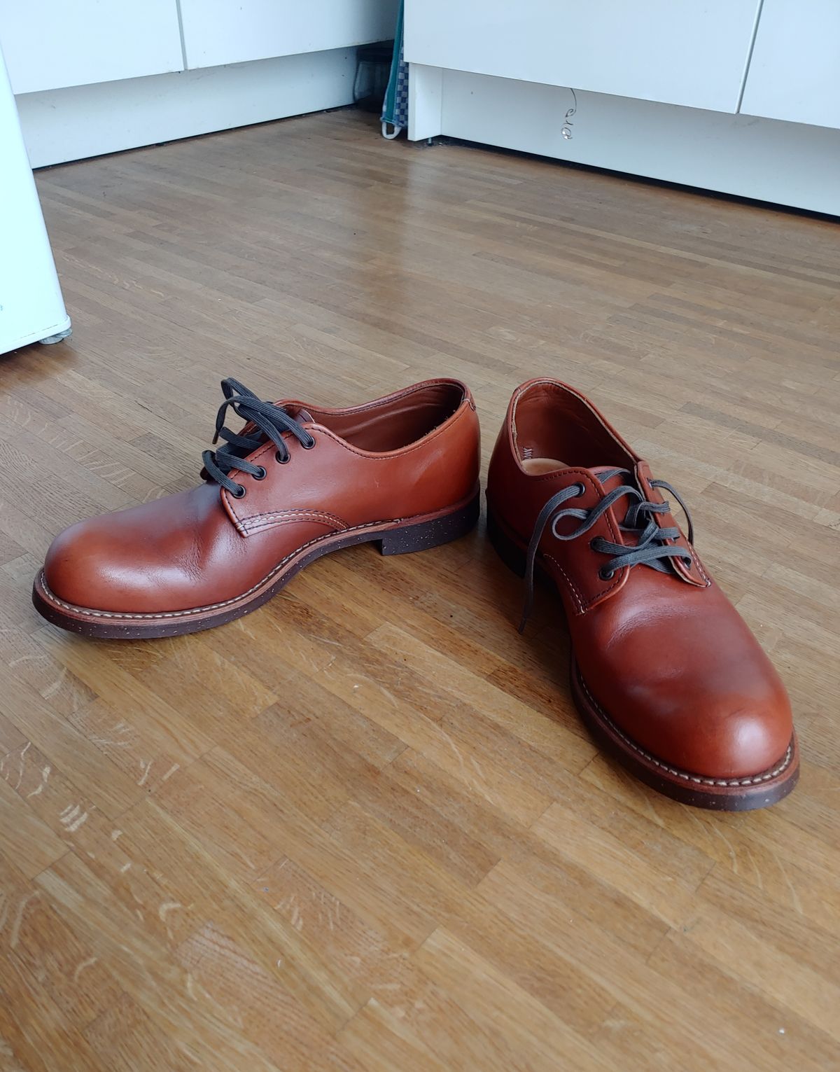 Photo by brunizam on February 28, 2023 of the Red Wing Work Oxford in S.B. Foot Brick Settler.