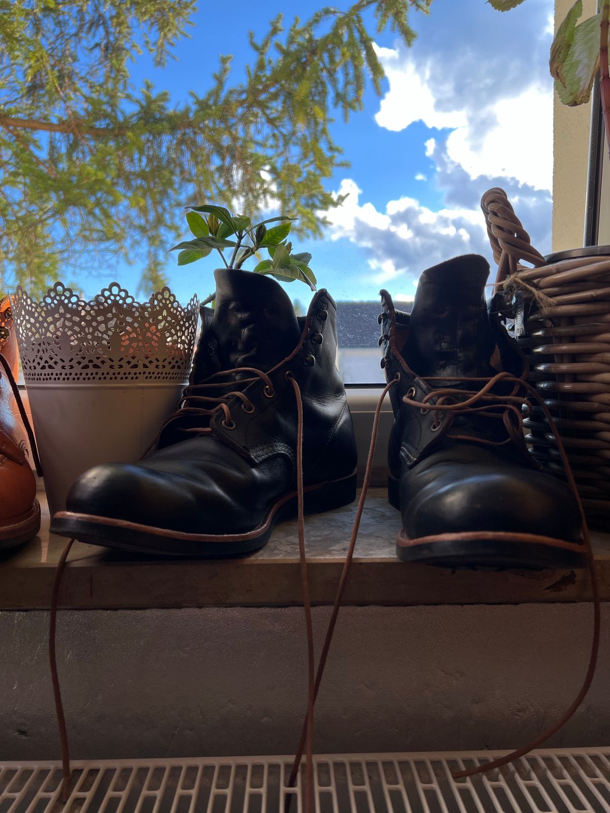 Photo by brunizam on February 25, 2024 of the Red Wing Blacksmith in S.B. Foot Black Prairie.