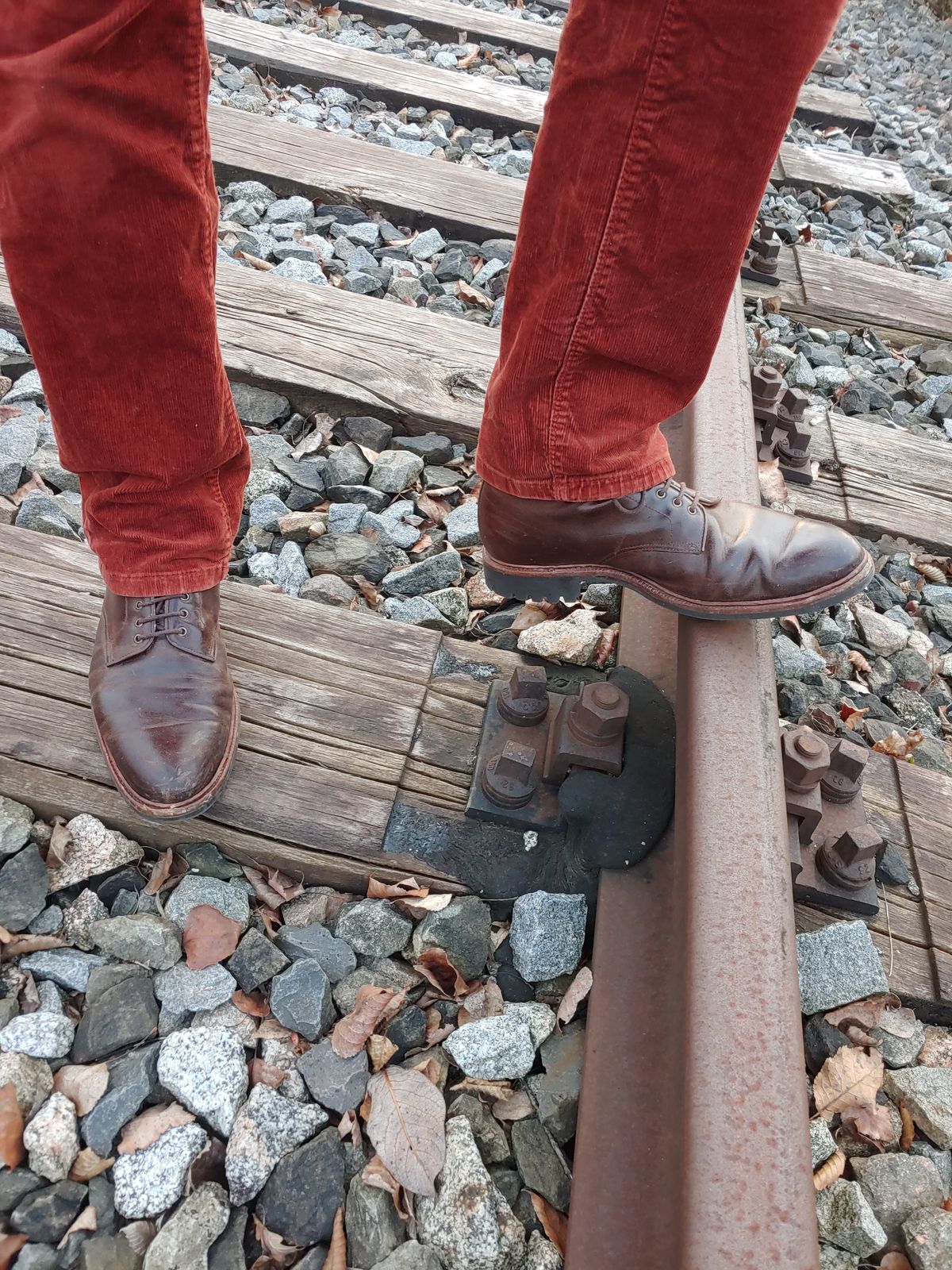 Photo by brunizam on February 23, 2023 of the Meermin Service Boot in Rust Waxy Calf.