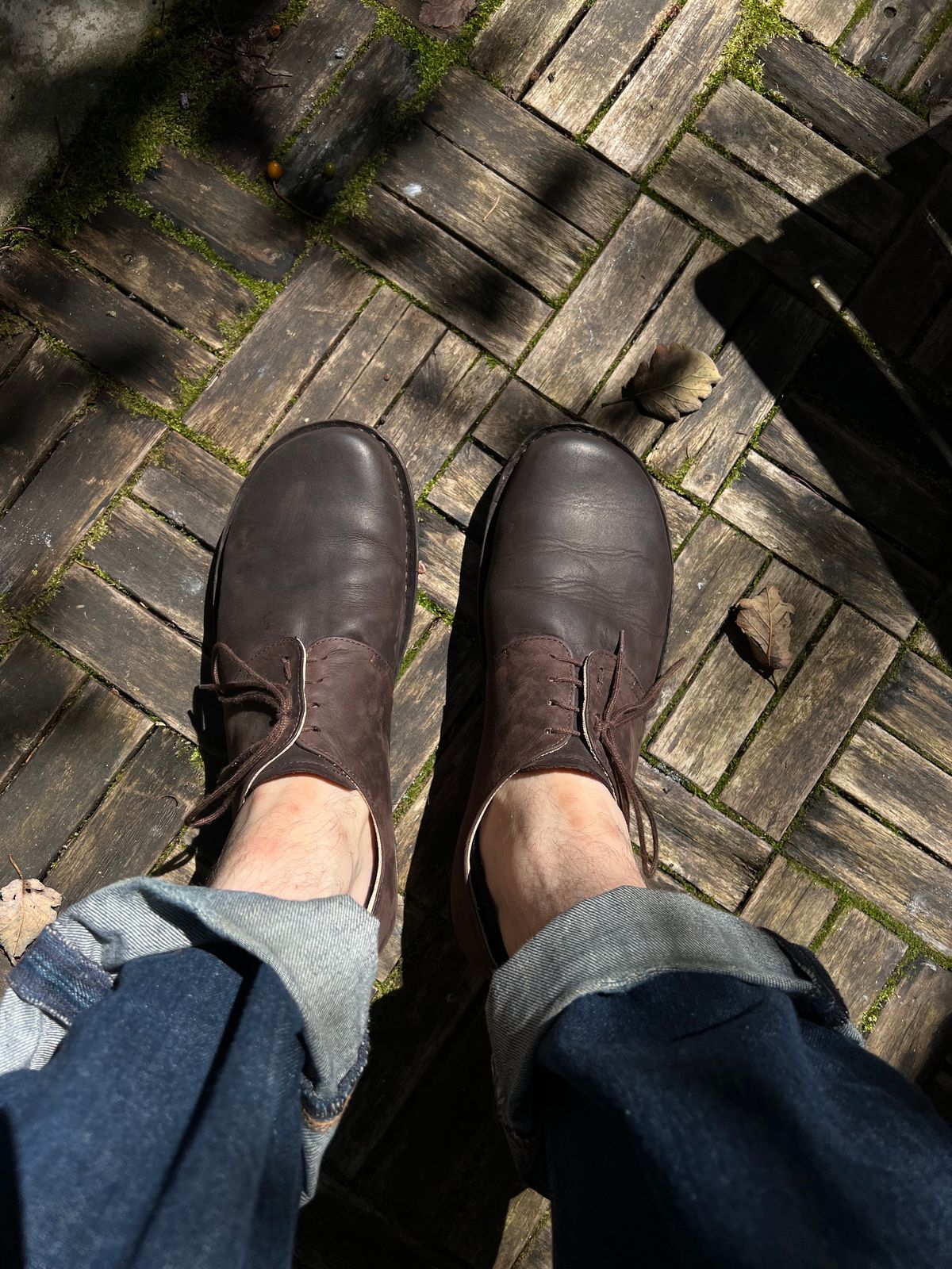 Photo by brunizam on August 6, 2024 of the GEA Waldviertler Phönix in Jaques Dark Brown.