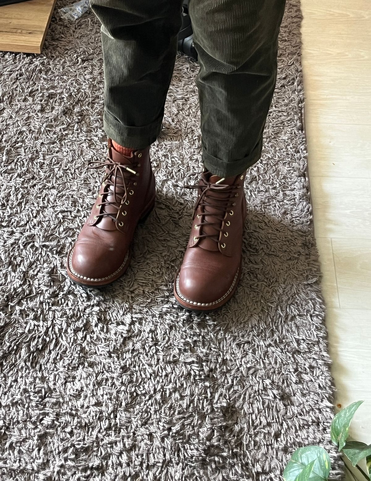 Photo by herrmoekl on September 28, 2025 of the Nicks Americana in Seidel 1964 Brown.