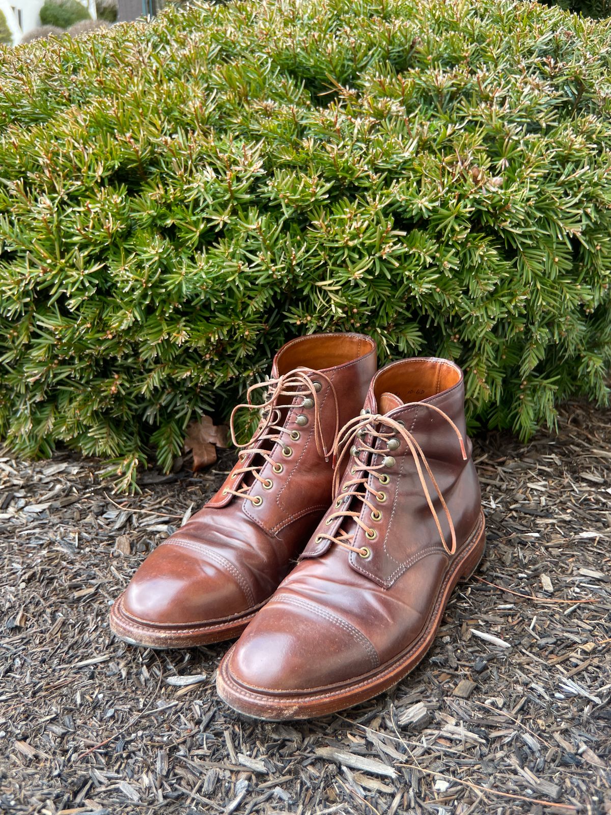Photo by K_J_M_51 on March 4, 2023 of the Grant Stone Cap Toe Boot in Horween Marbled Color 8 Shell Cordovan.