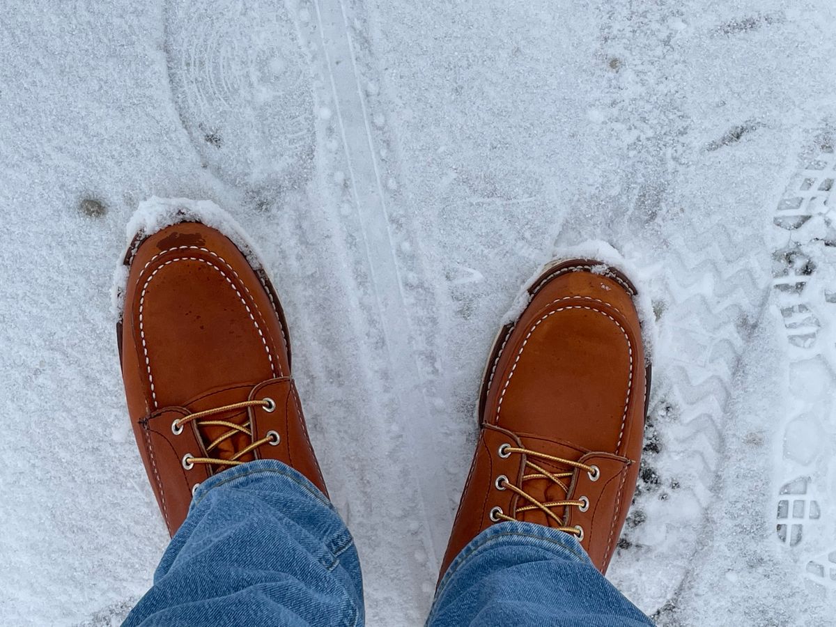 Photo by Qltyboots on December 1, 2022 of the Red Wing 8-Inch Classic Moc in S.B. Foot Oro Legacy.